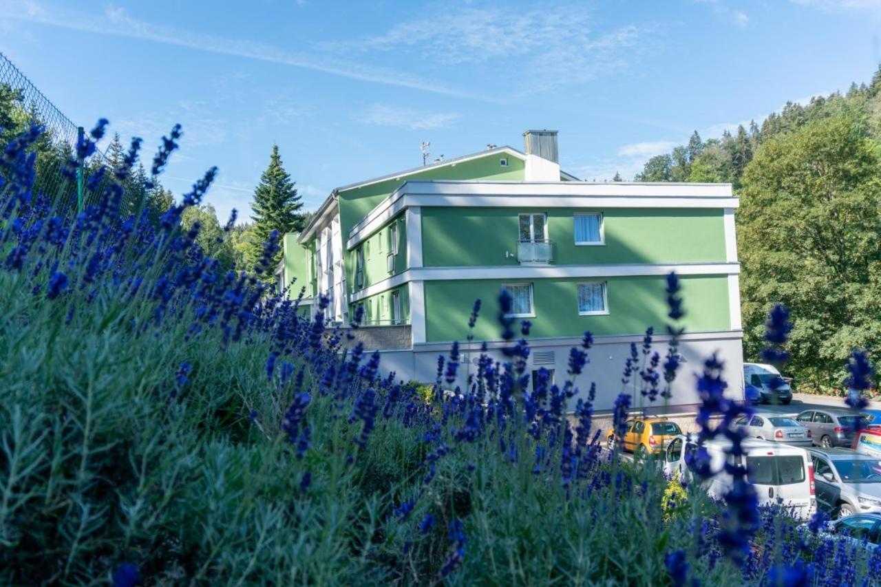 Wellness Hotel Green Paradise Pirkenhammer المظهر الخارجي الصورة