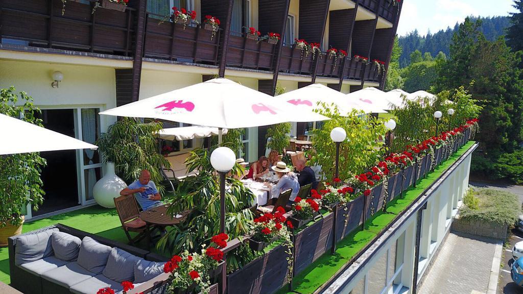 Wellness Hotel Green Paradise Pirkenhammer المظهر الخارجي الصورة